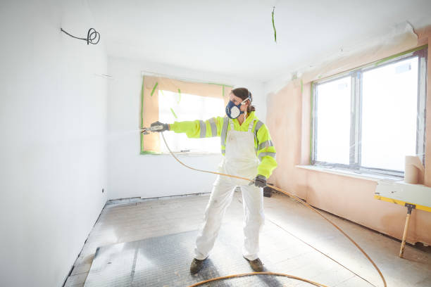 Best Mold Odor Removal Services  in Salix, PA