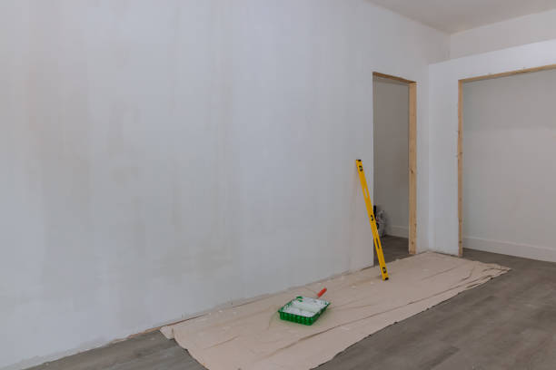 Trusted Salix, PA Mold Removal Experts