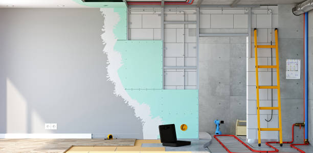 Best Black Mold Removal  in Salix, PA