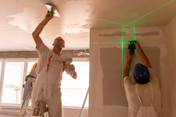 Best Residential Mold Inspection & Testing  in Salix, PA
