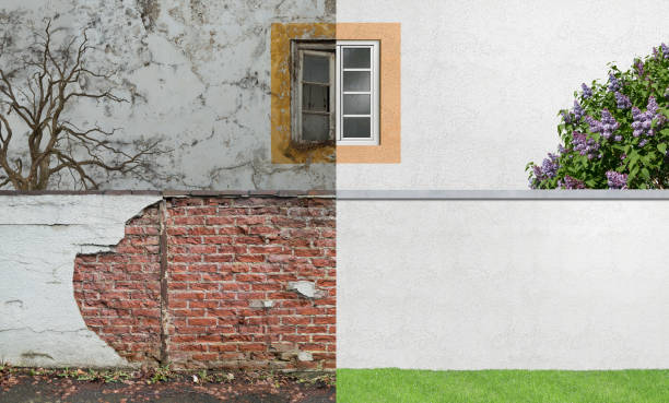 Best Mold Prevention Services  in Salix, PA