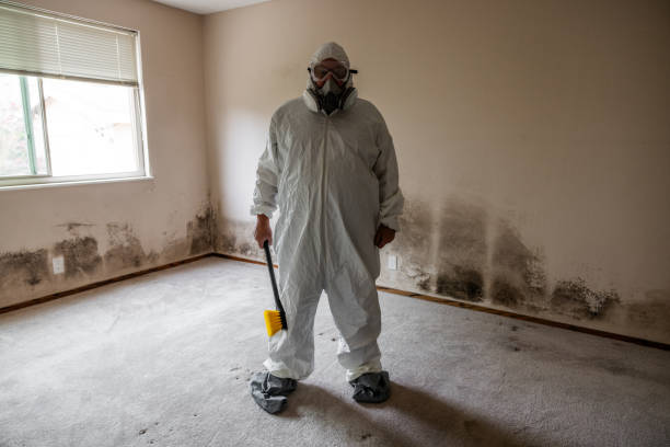 Best Airborne Mold Testing  in Salix, PA